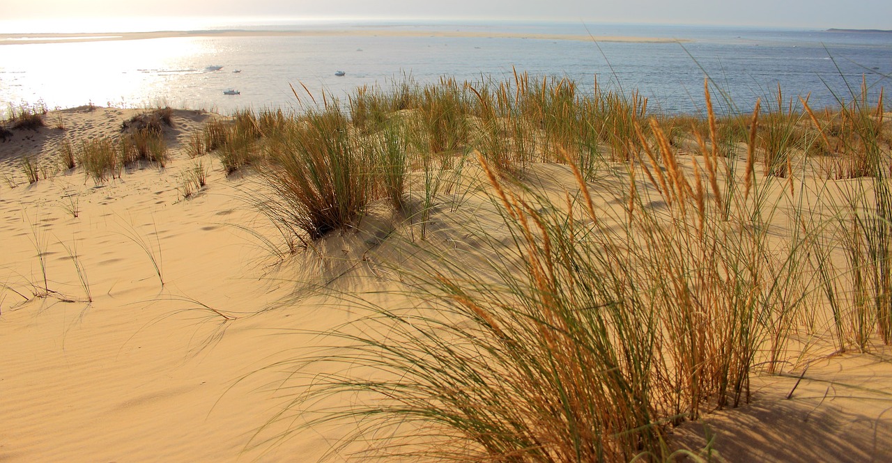 sand dune dune pyla you free photo