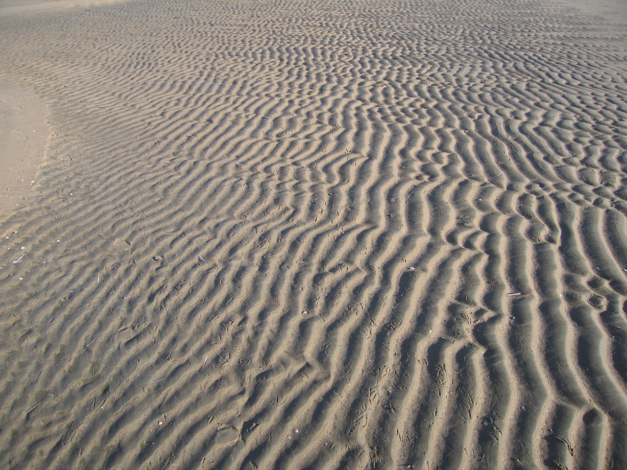 sand beach sea free photo