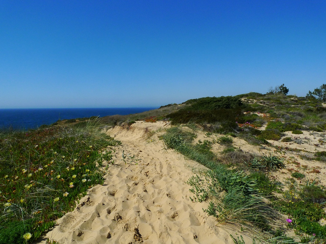 sand path footprint free photo