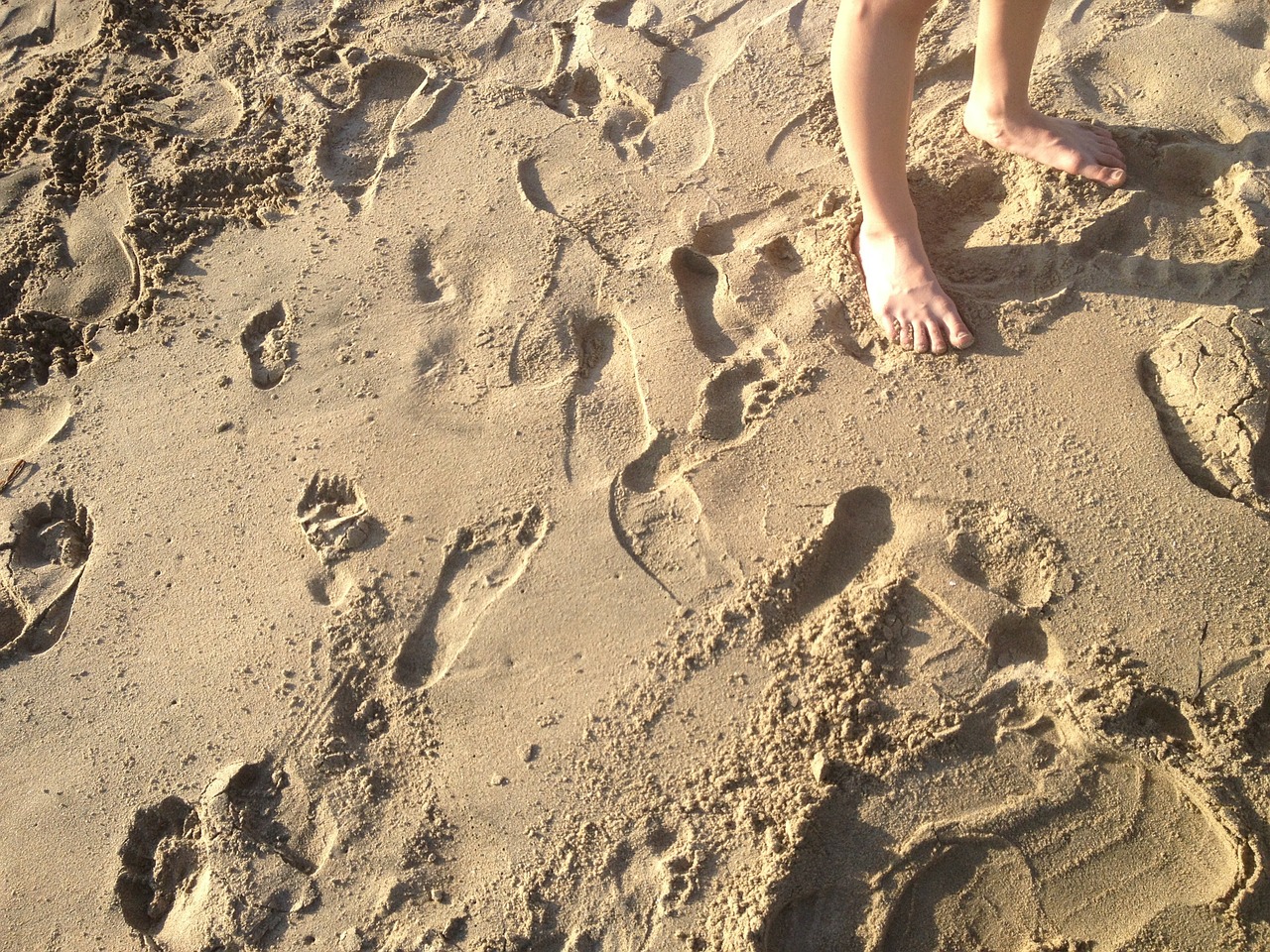 sand footprints feet free photo