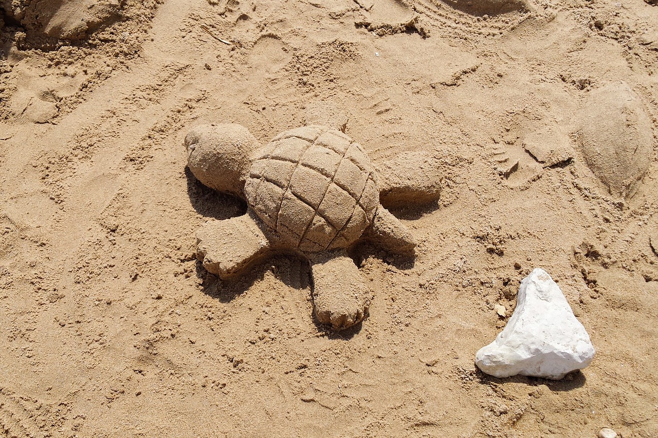 sand turtle holiday free photo