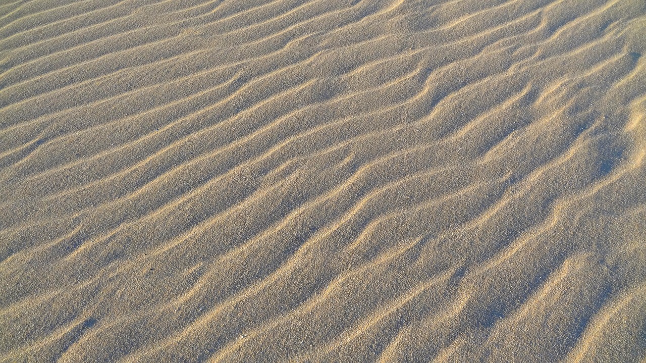 sand desert dry free photo