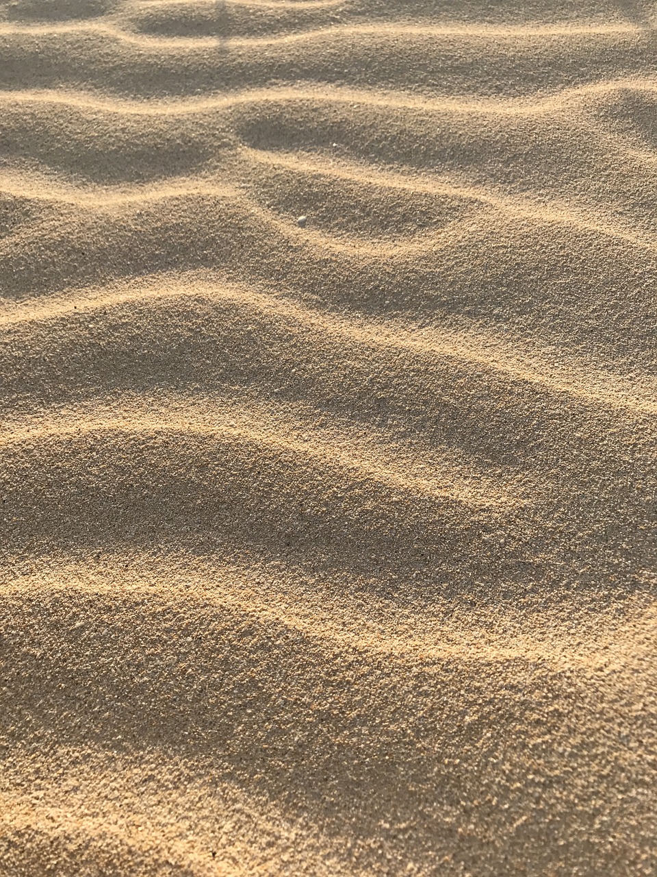 sand beach ripple free photo