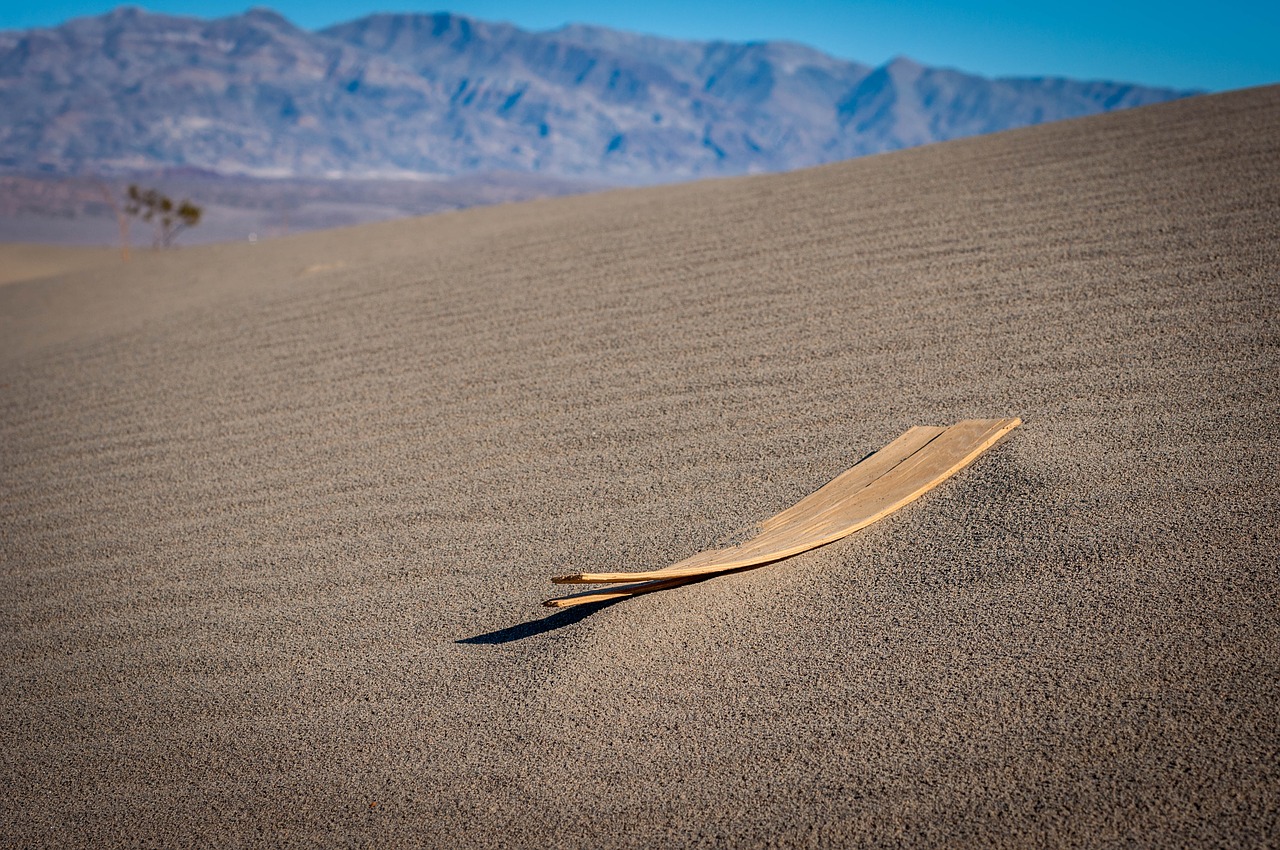 sand wood desert free photo