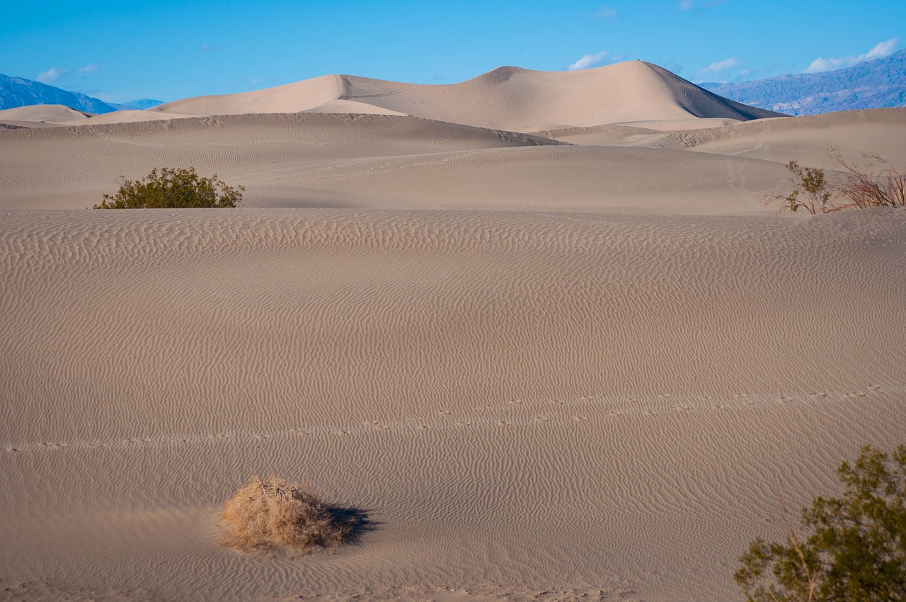 sand dune death valley free photo