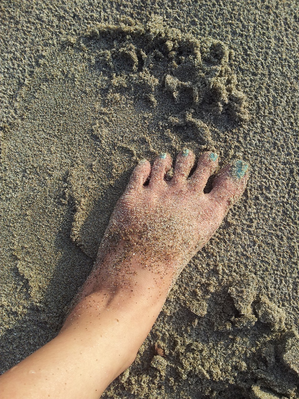 sand foot ocean free photo
