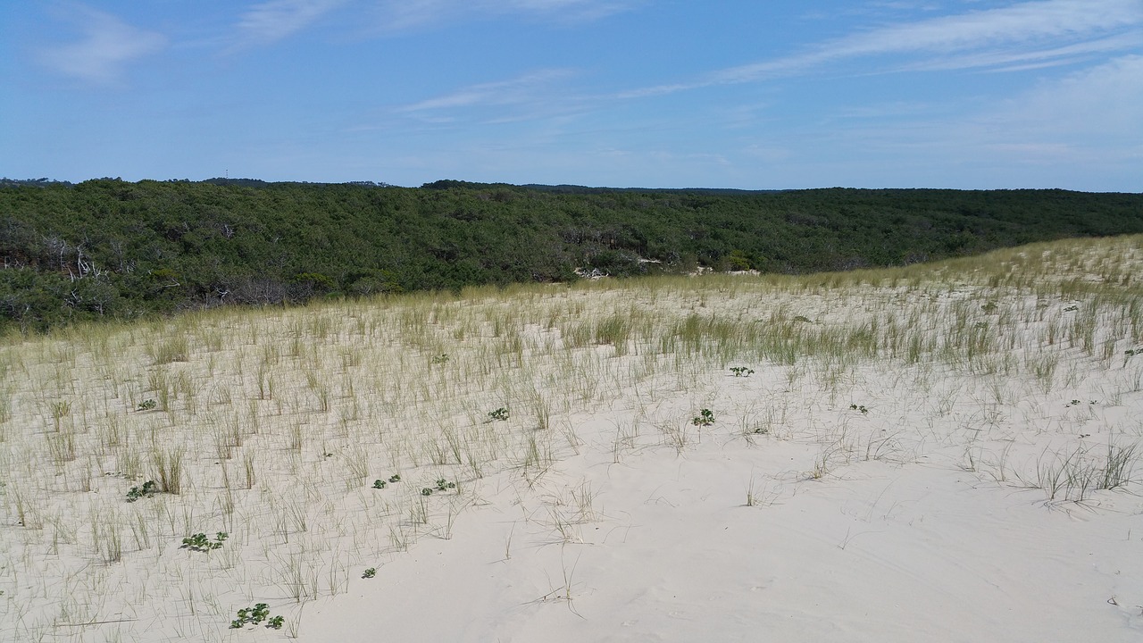 sand sky dune free photo