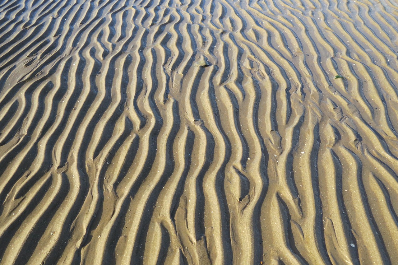 sand beach ridges free photo