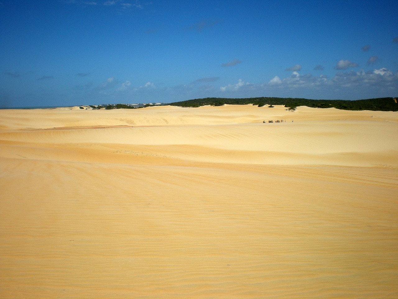 sand dunes natal free photo