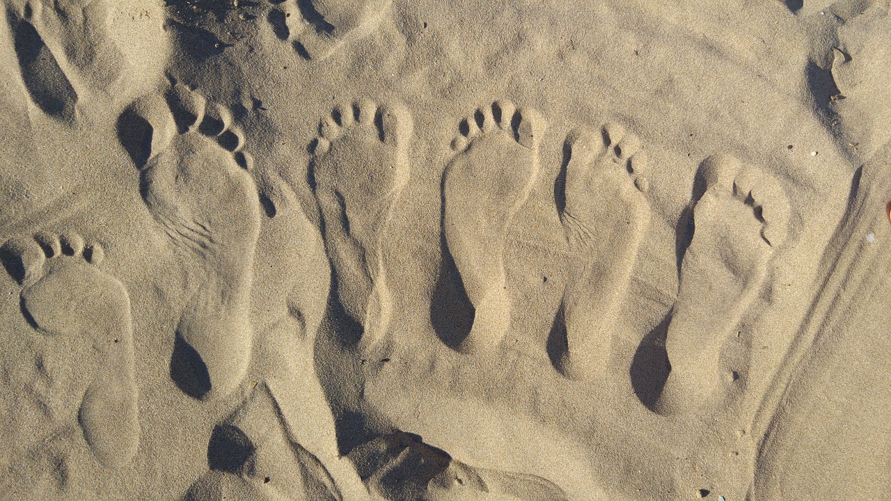 sand beach feet free photo