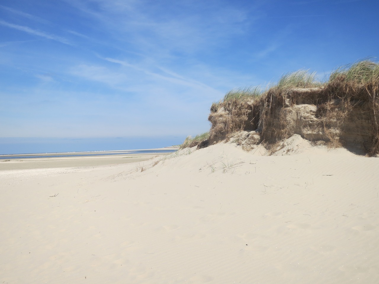 sand dune beach free photo