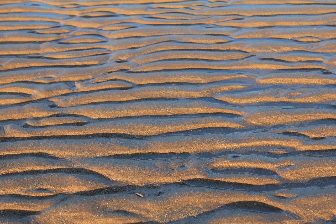 sand ripples lines free photo