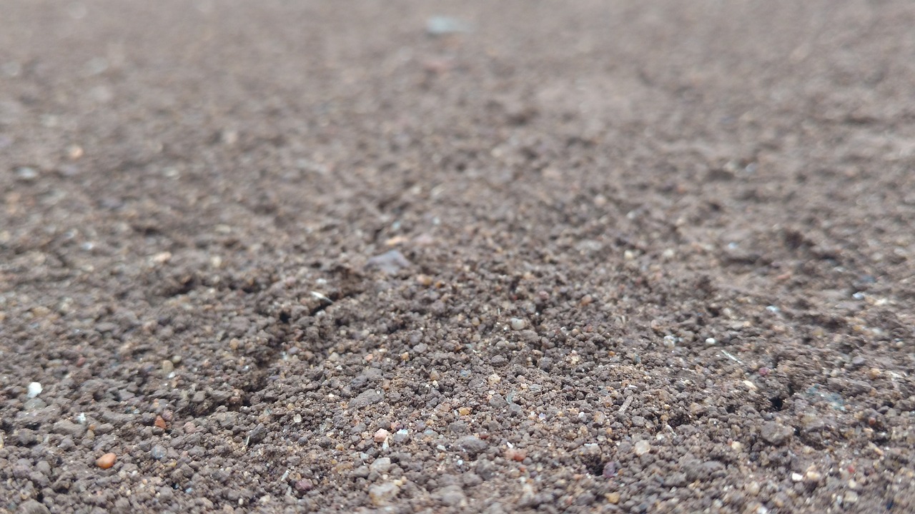 sand cricket pitch stones free photo