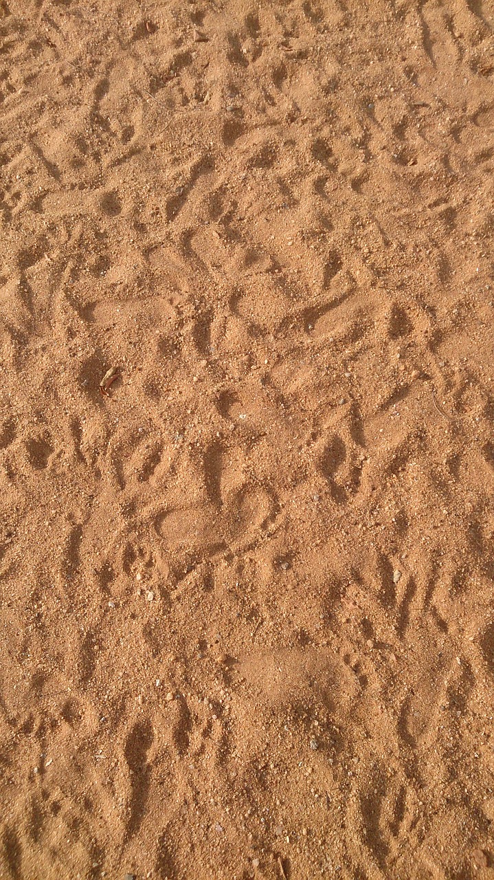 sand pattern beach free photo