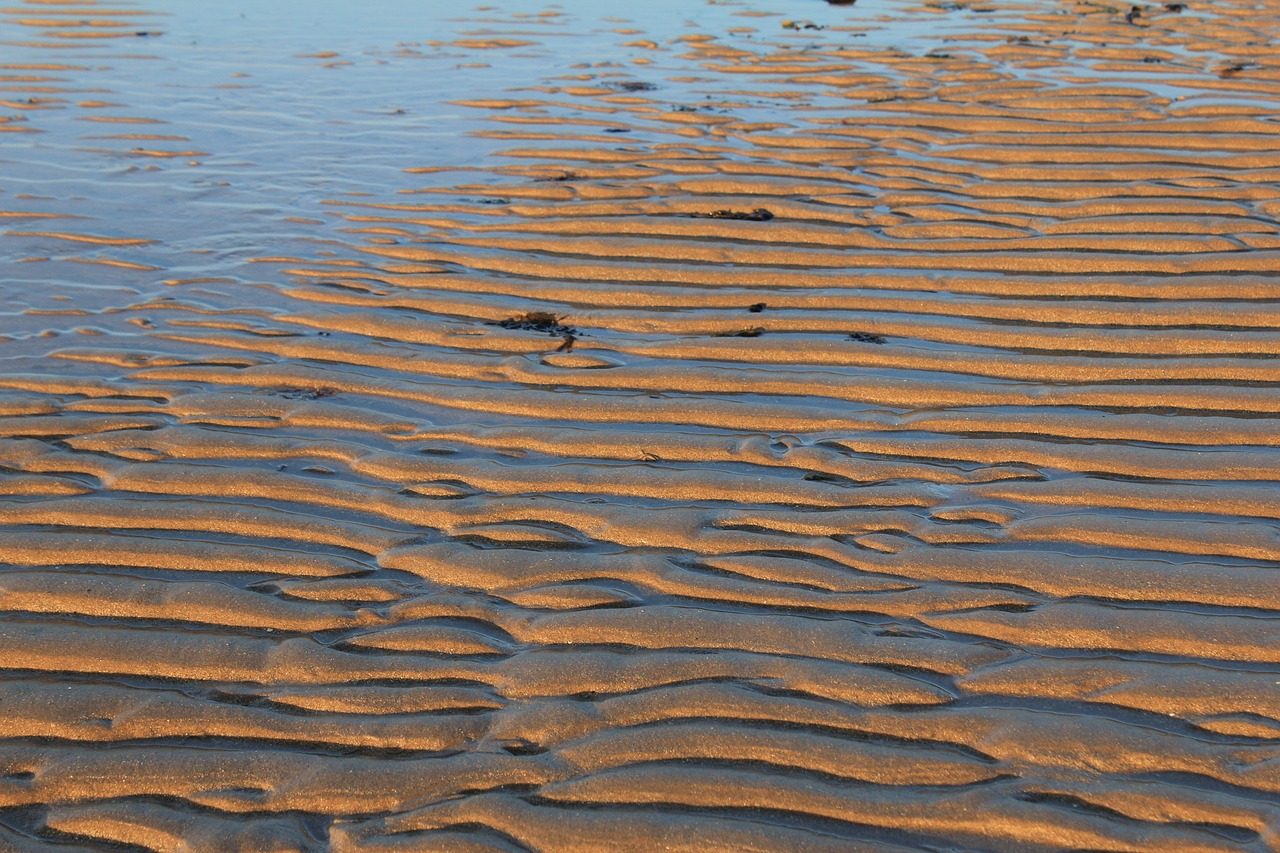 sand ripples lines free photo