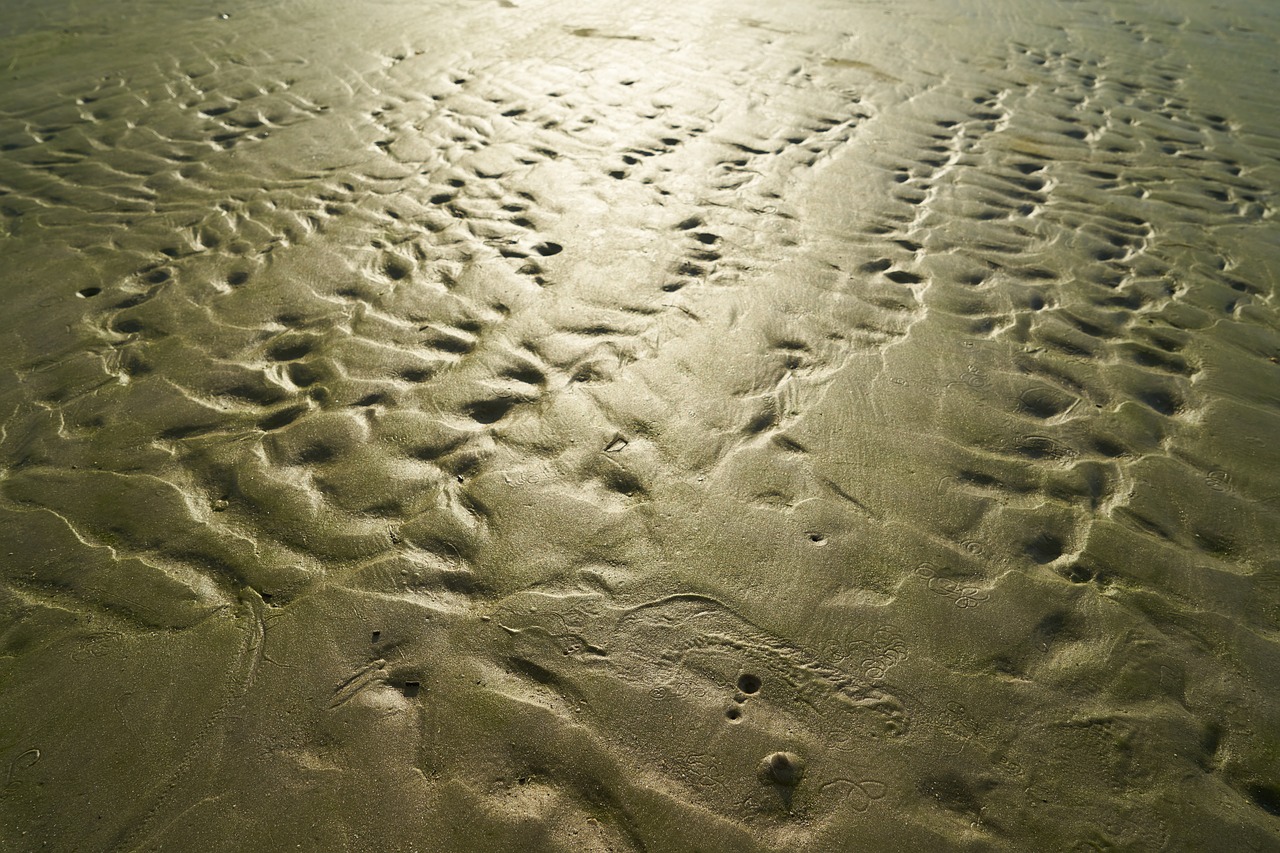 sand texture light free photo