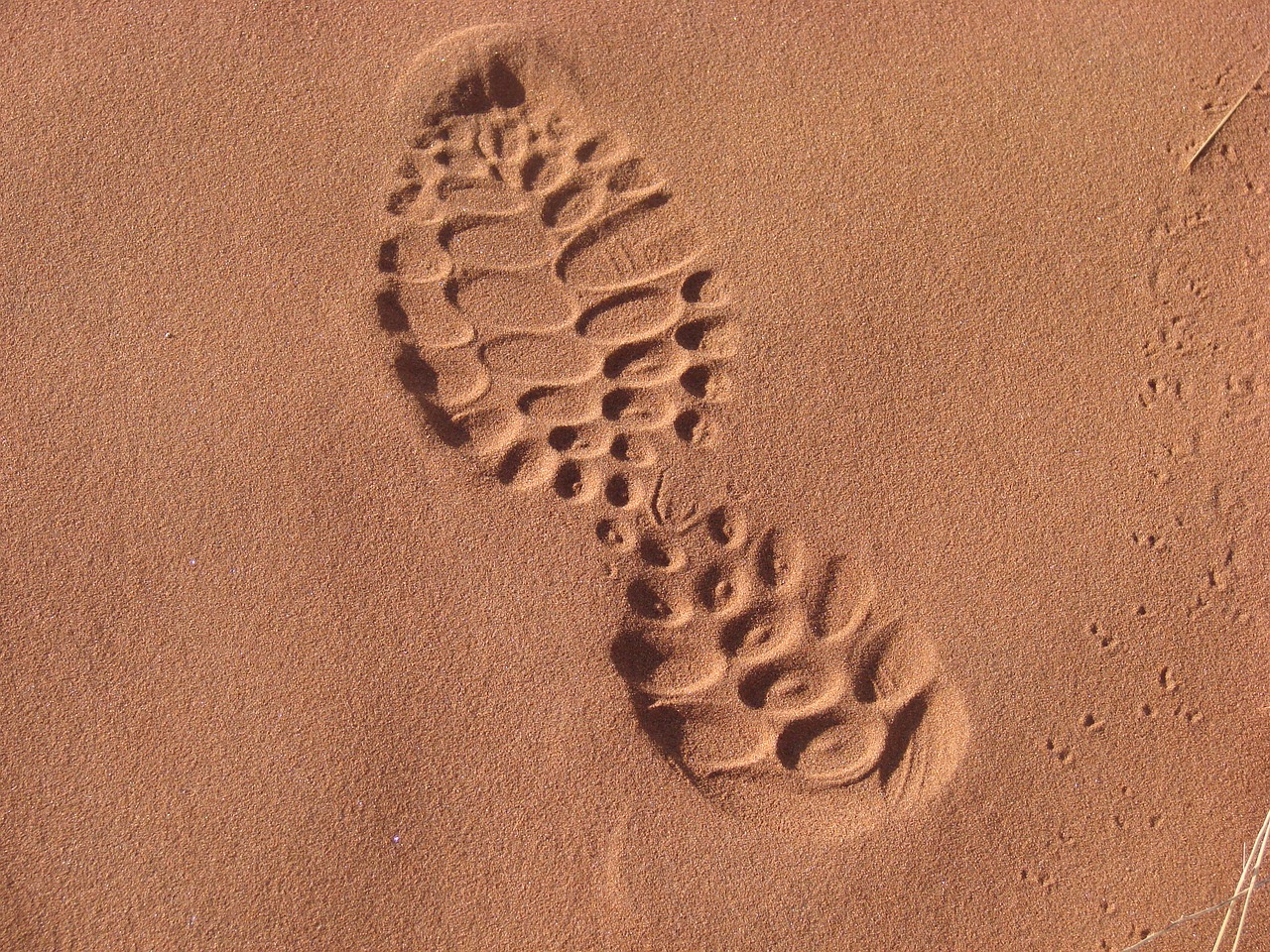 sand sole footprint free photo