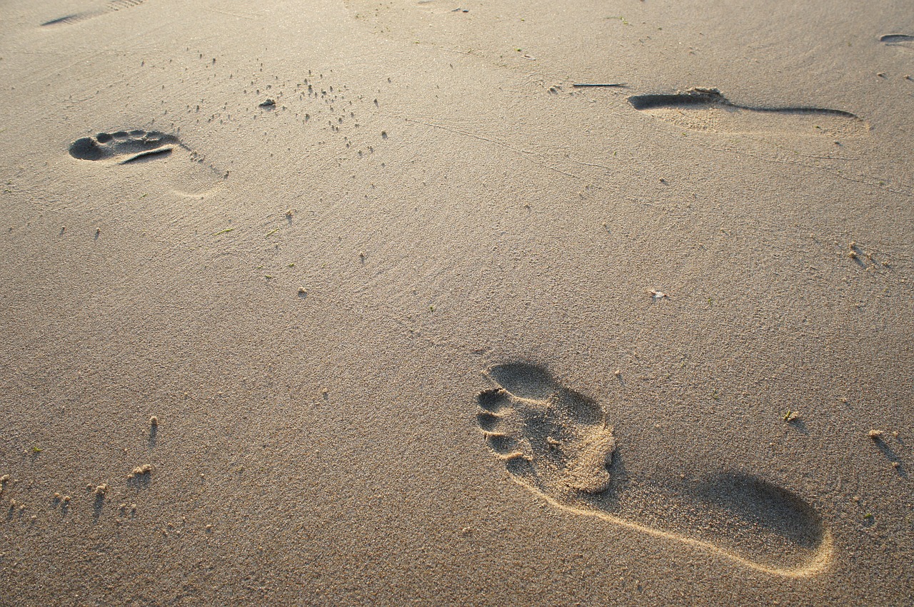 sand beach foot free photo