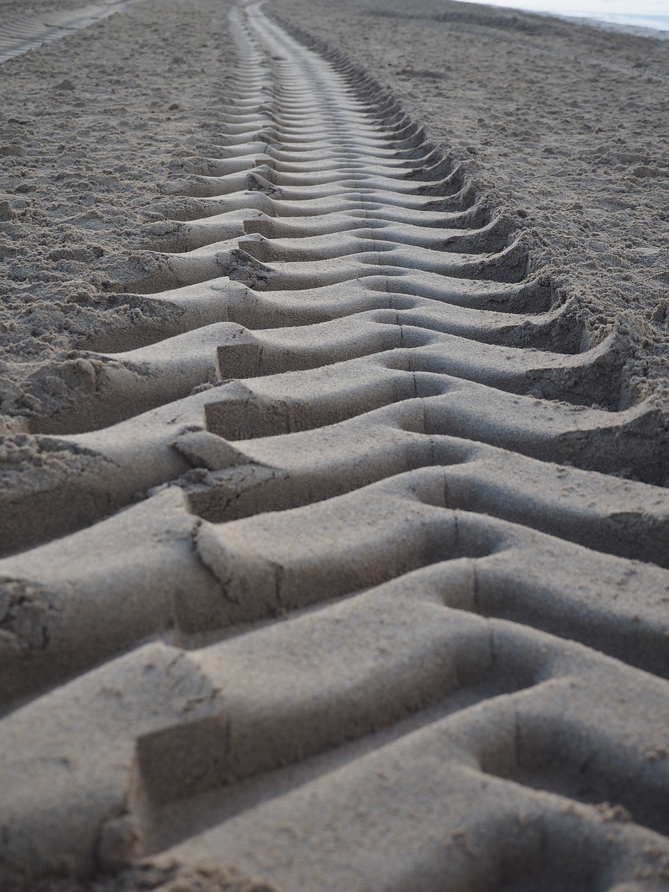 sand traces tire tracks free photo