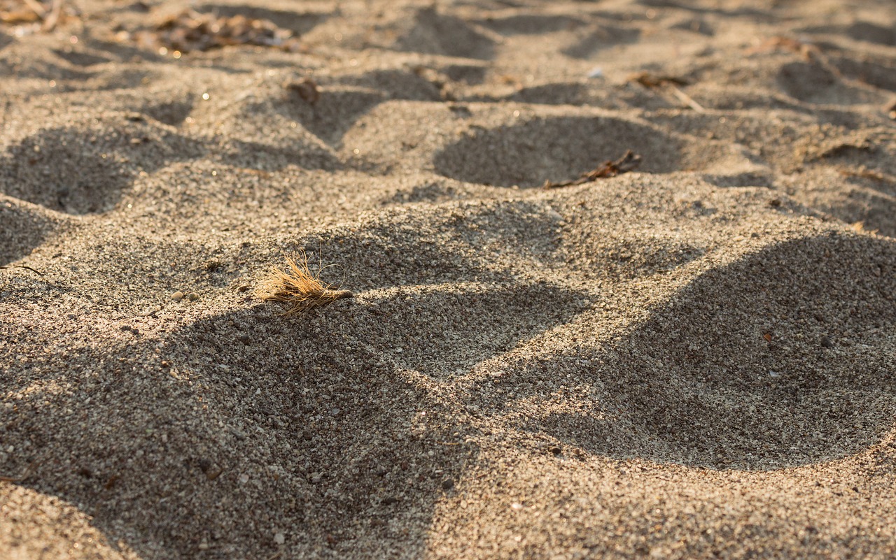 sand beach environmental free photo