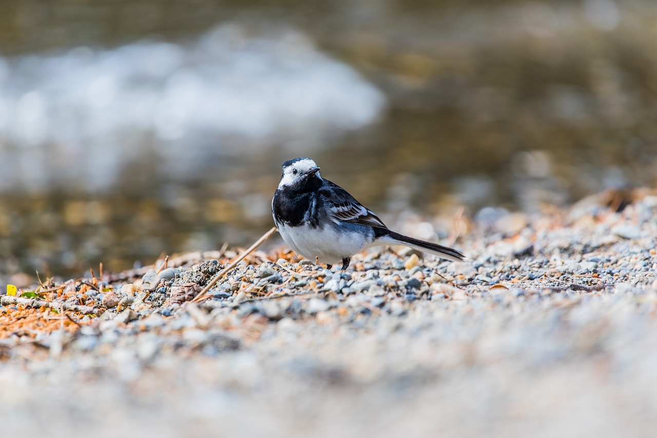 sand outdoor nature free photo