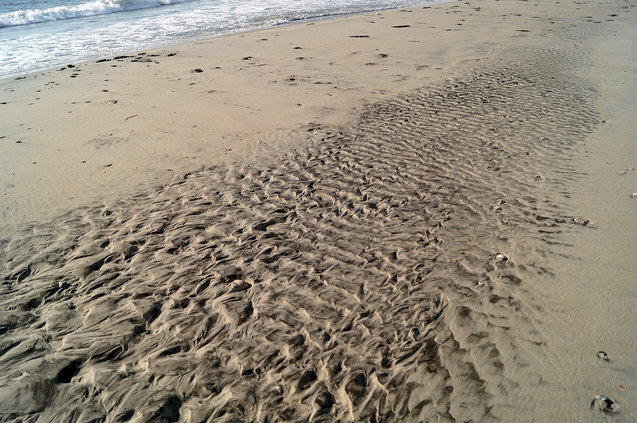 sand beach sea free photo