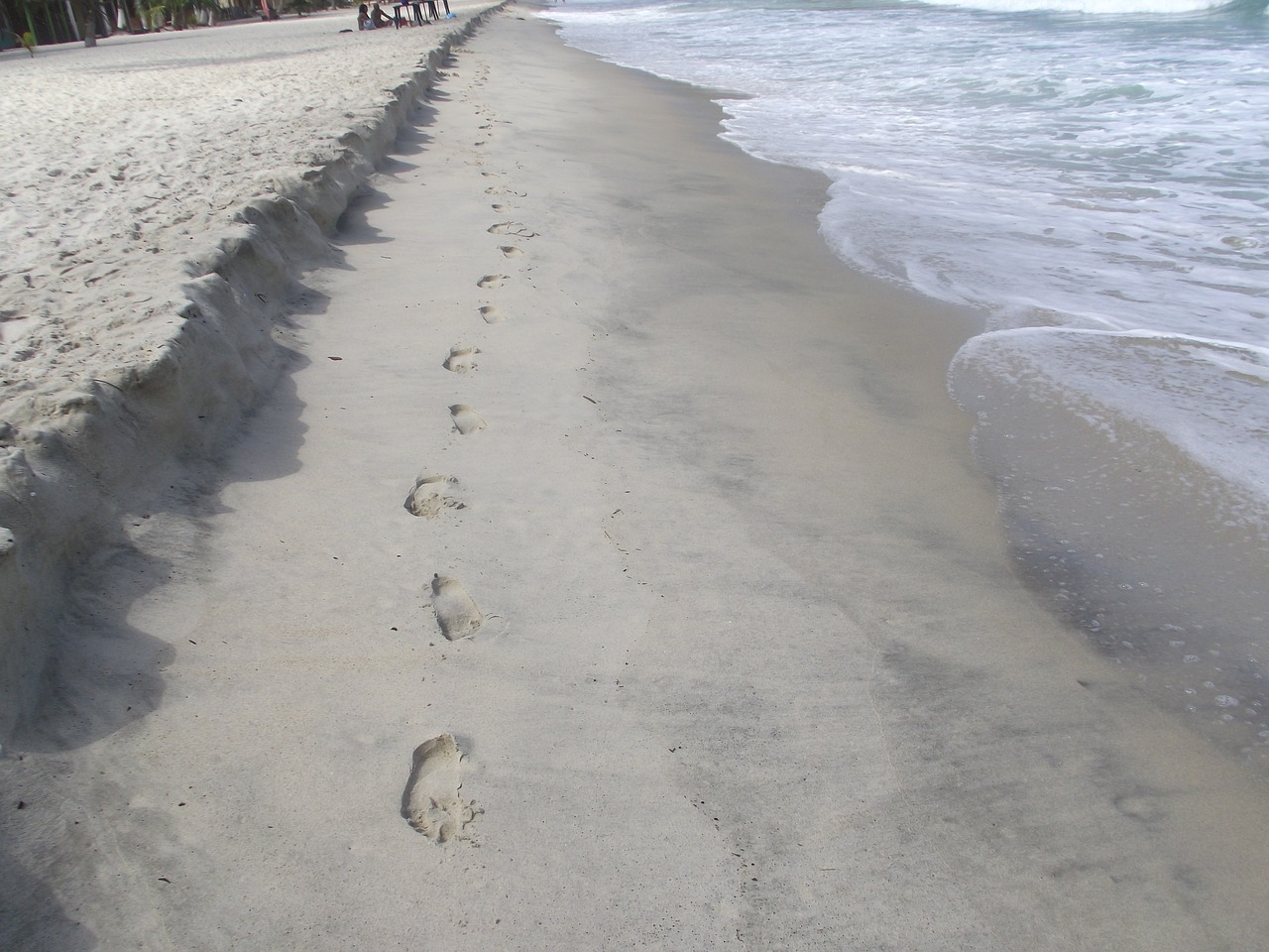 sand beach footprints free photo