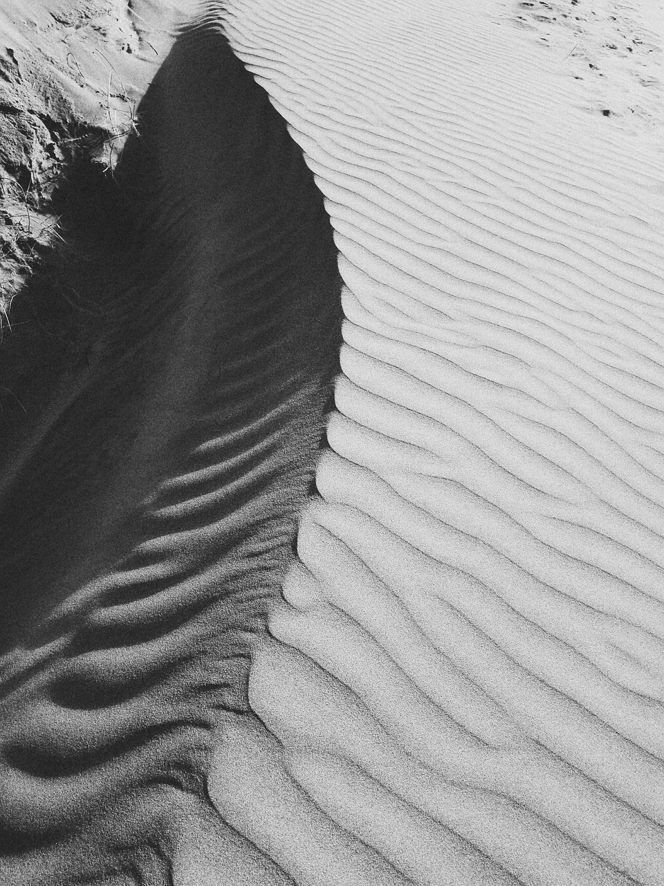 sand black and white desert free photo