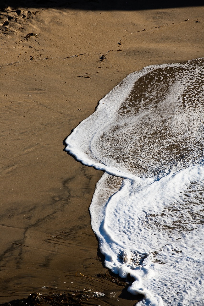 sand beach ocean free photo