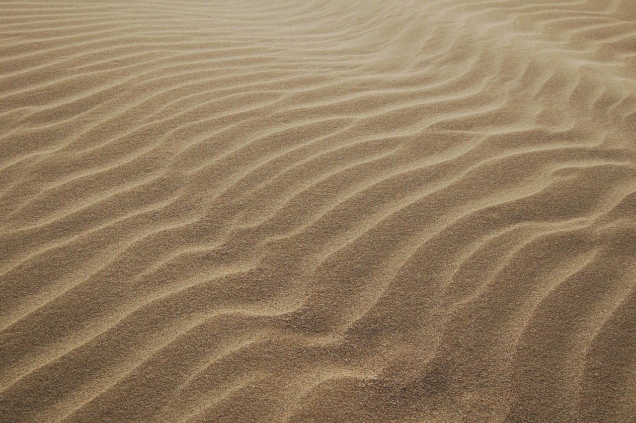 sand beach waves free photo