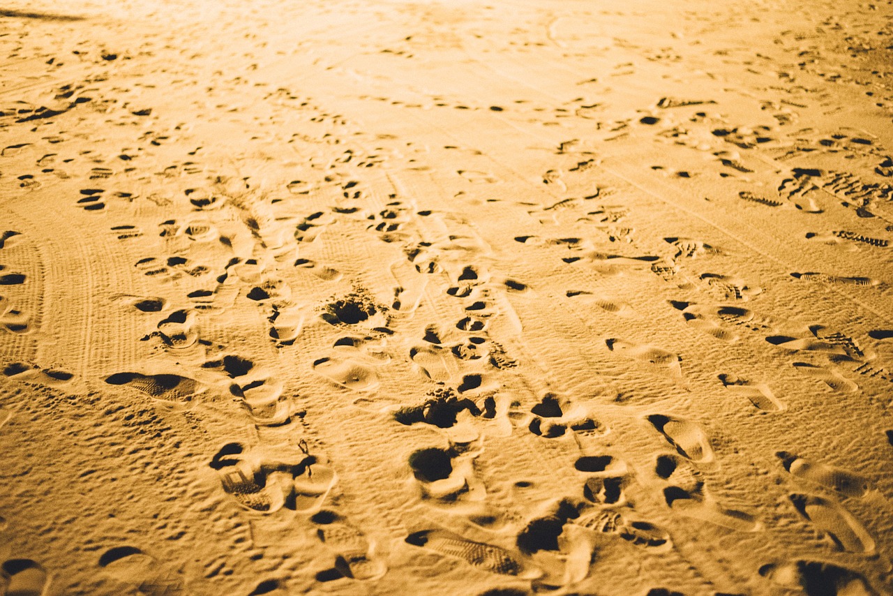 sand beach footsteps free photo