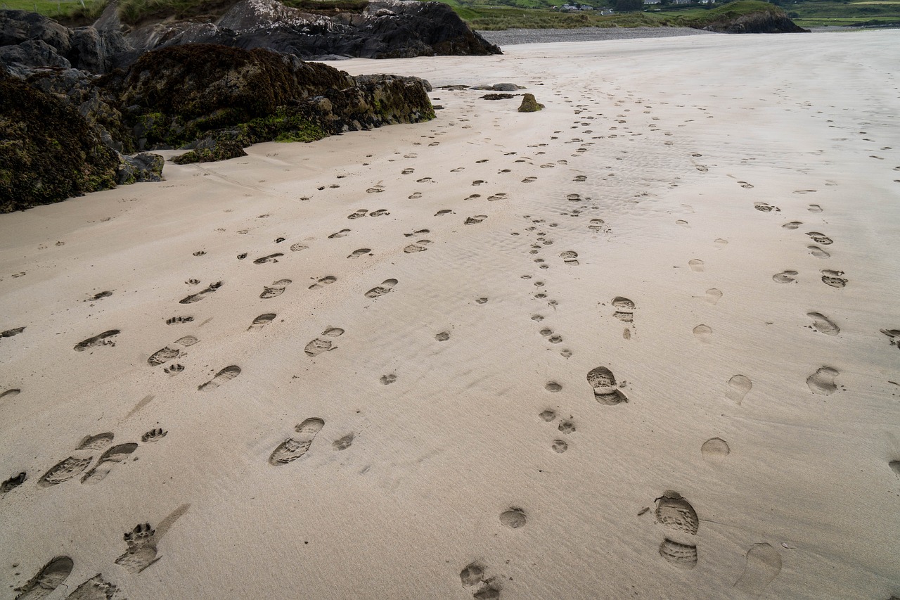 sand traces beach free photo