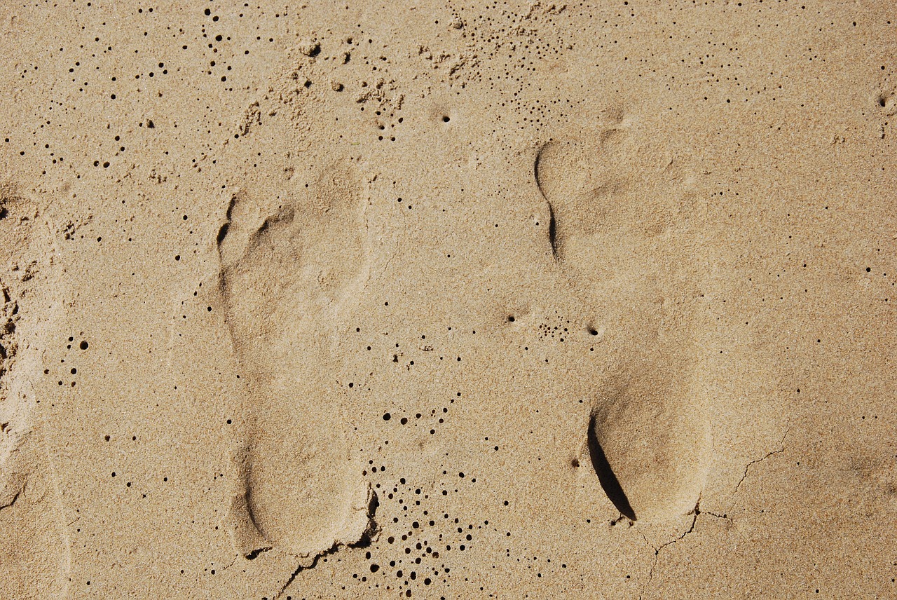 sand beach footprint free photo