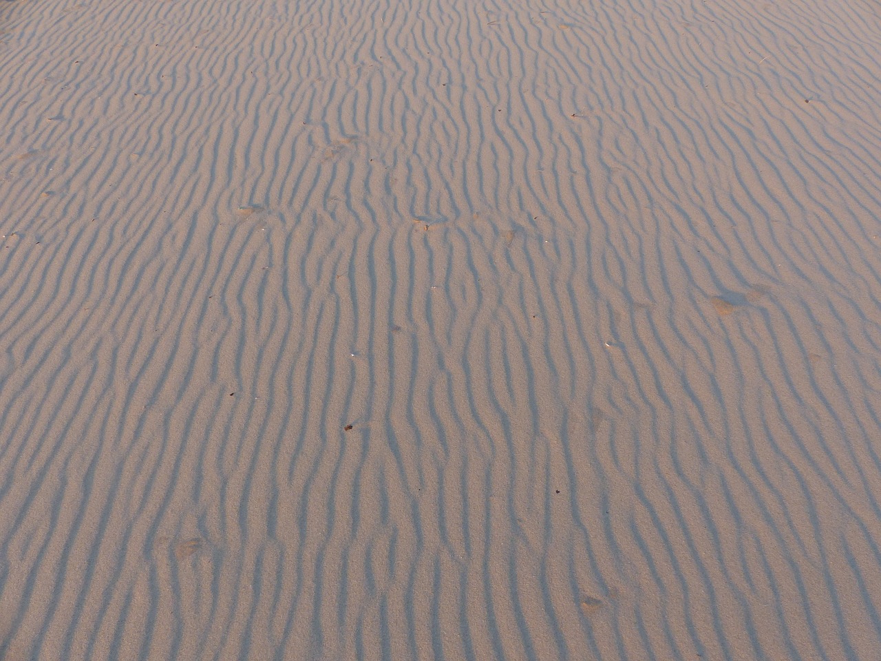 sand beach ocean free photo