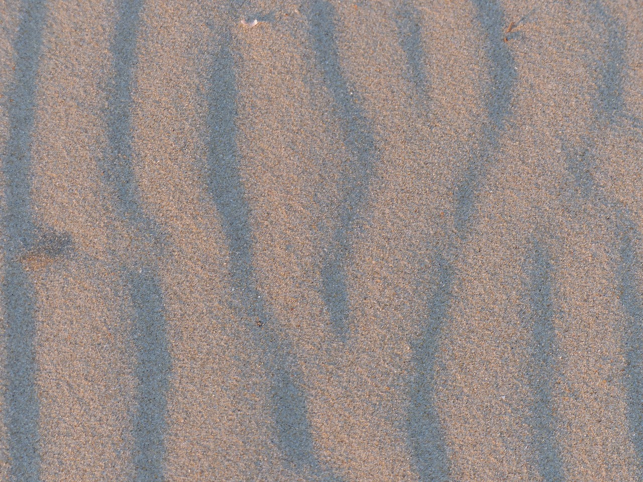 sand beach ocean free photo