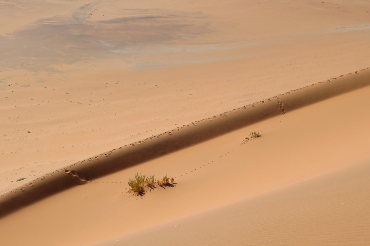 sand dune background free photo