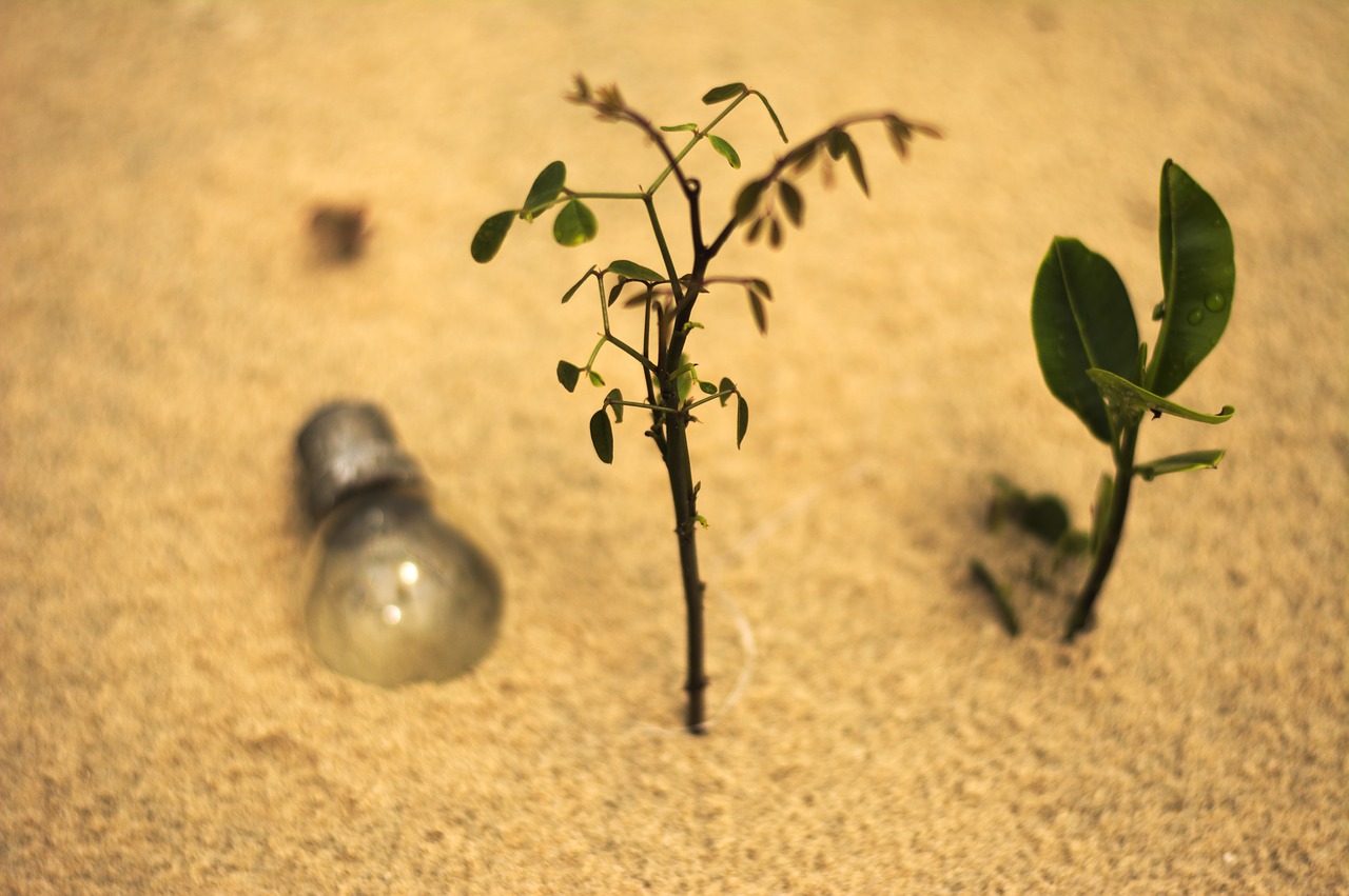 sand beach conceptual free photo