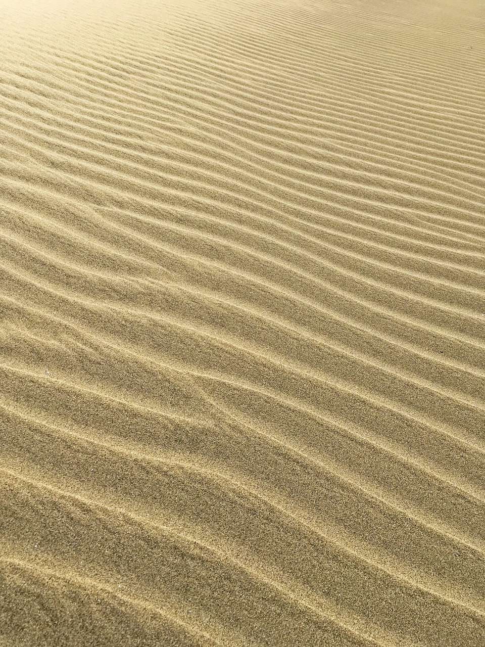 sand pattern sand pattern free photo