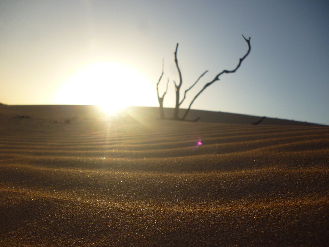 sand dry so sun free photo