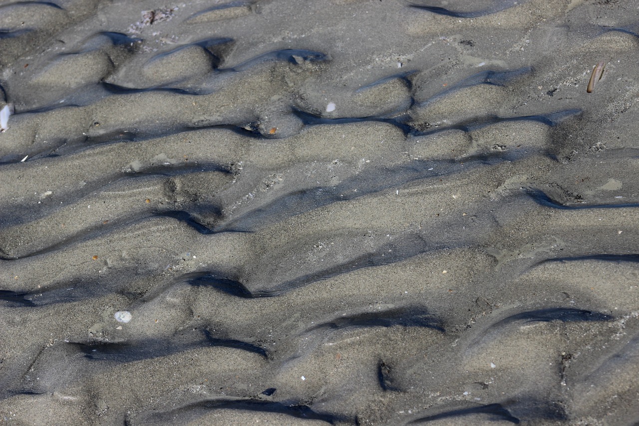 sand beach sea free photo