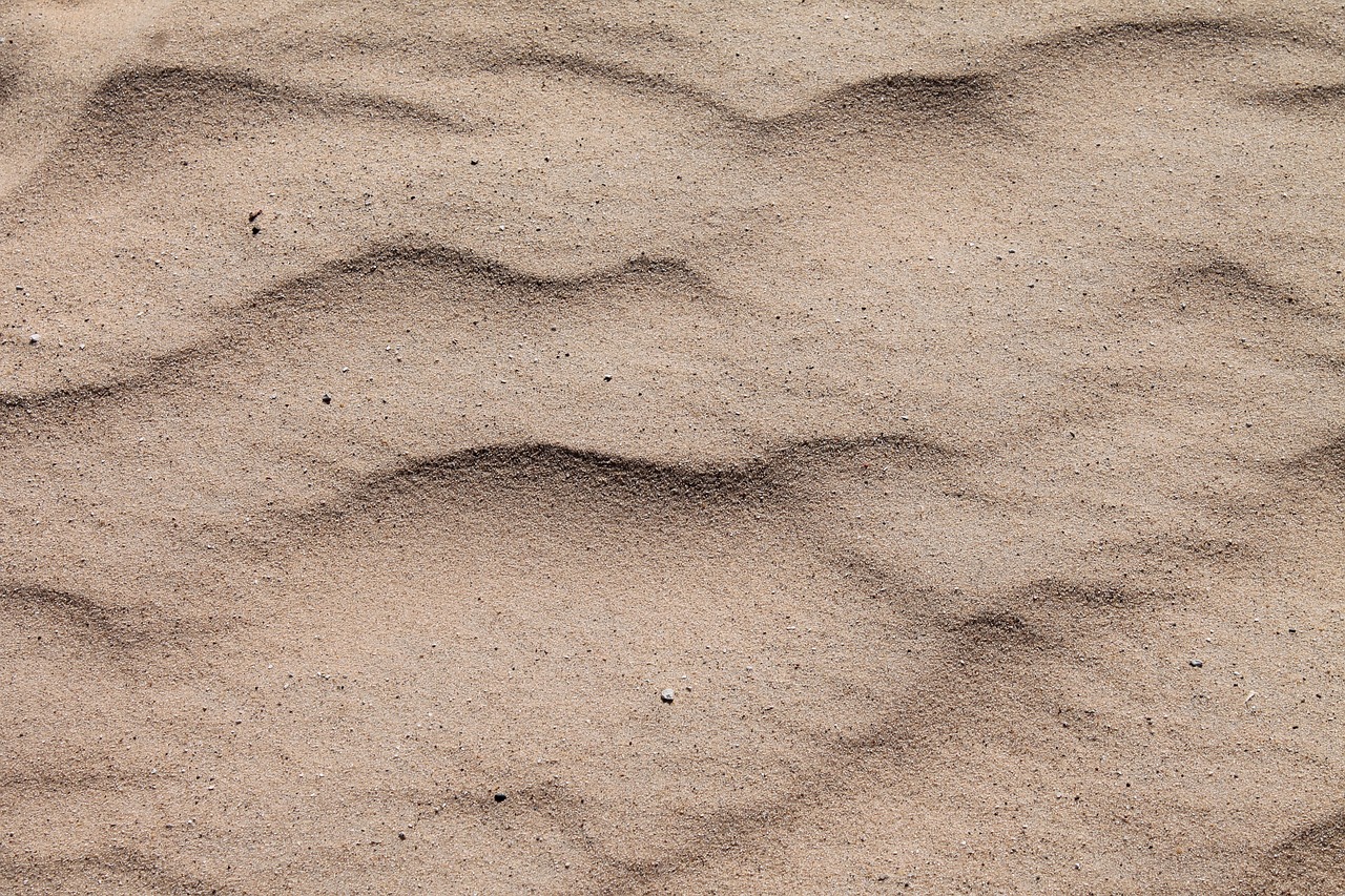 sand beach dune free photo