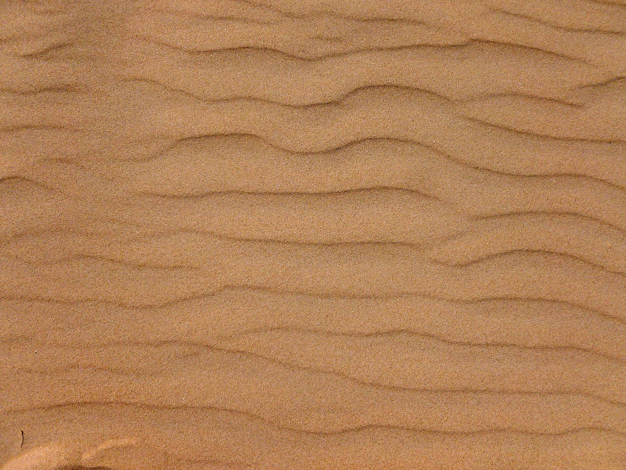 sand wave texture free photo