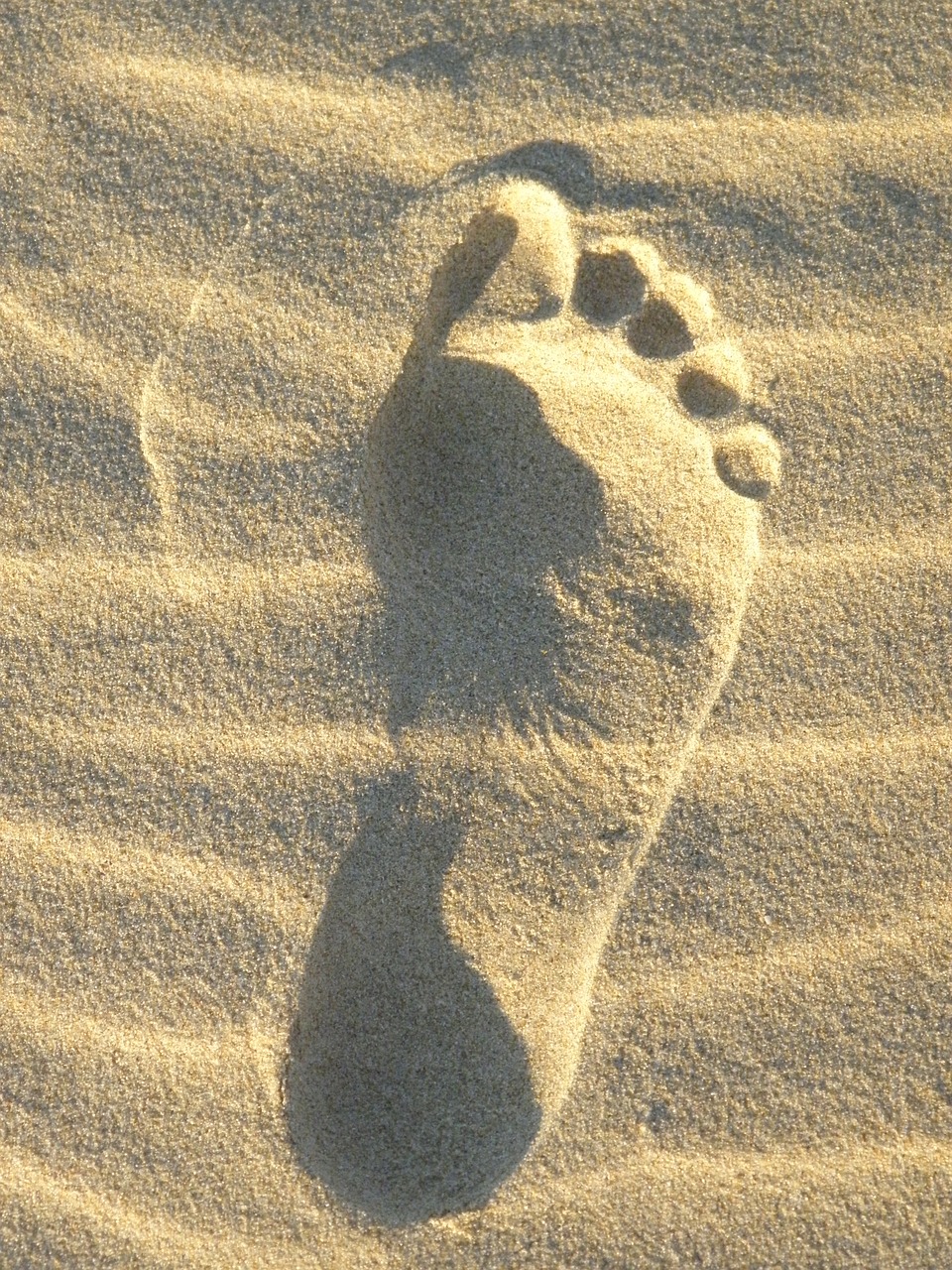 sand foot reprint free photo