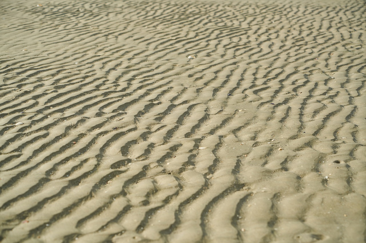 Sand,beach,texture,detail,pattern - free image from needpix.com
