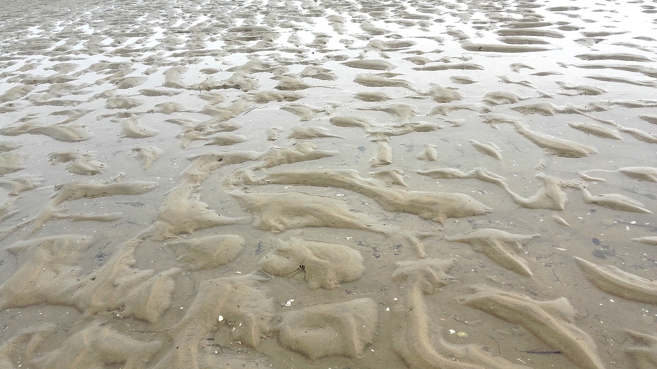 sand ocean tide free photo