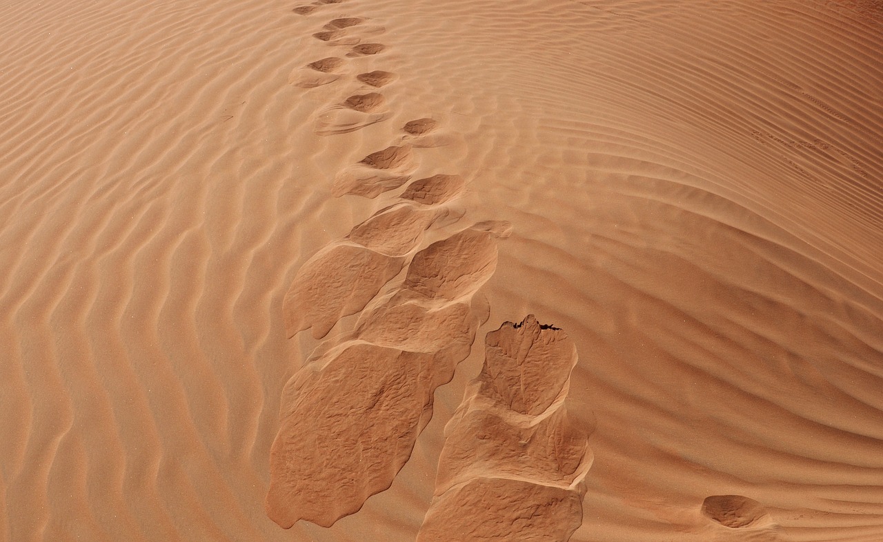 sand desert sandy free photo