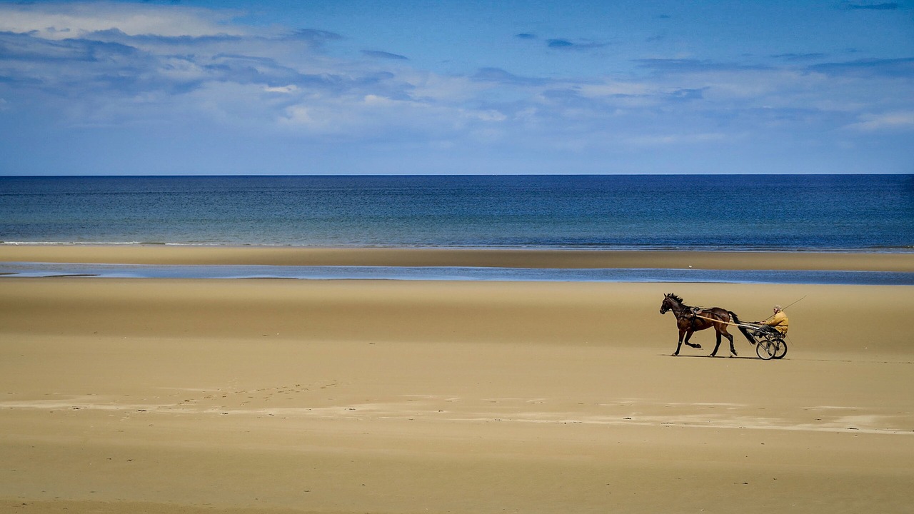 sand beach body of water free photo