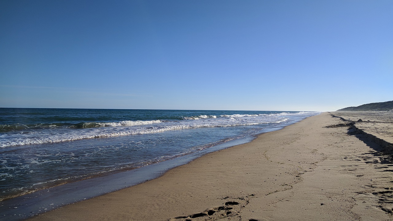 sand water beach free photo