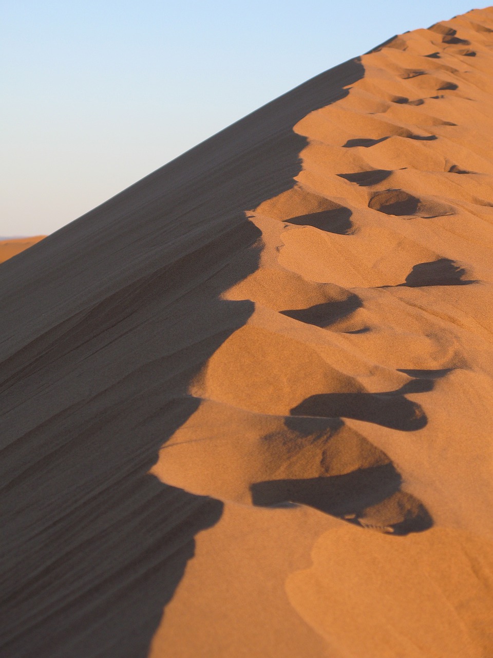 sand desert dry free photo