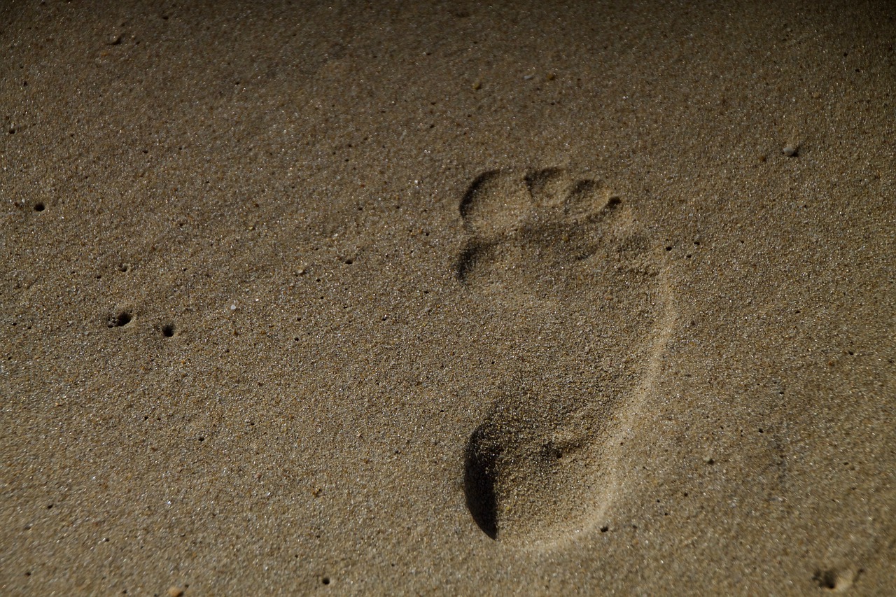 sand footprint beach free photo